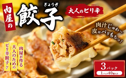 冷凍 生餃子 大人のピリ辛 肉屋の餃子（40個入り） 3パック