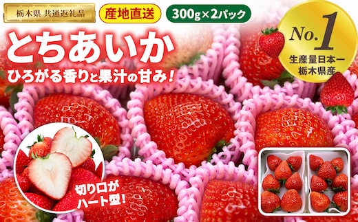 いちご とちあいか 300g×2パック【栃木県共通返礼品】 | いちご イチゴ 苺 とちあいか 生いちご 高級いちご 季節の果物 栃木県産 国産 農家直送 ギフト プレゼント お祝い お返し いちごギフト ※2026年12月～発送