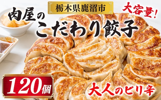 冷凍 生餃子 大人のピリ辛 肉屋の餃子（40個入り） 3パック
