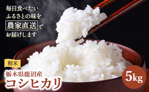令和7年度産 コシヒカリ 精米 5kg | 白米 米 お米 こしひかり 農家直送 栃木 鹿沼市