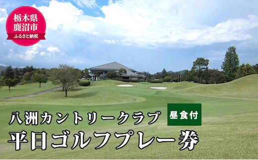 平日ゴルフプレー (昼食付き) 1名様分 【ゴルフ場利用権】 お届け：入金確認後 14日～1ヶ月