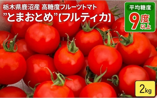 栃木県 鹿沼産 高糖度 フルーツトマト ”とまおとめ” フルティカ 2kg | 野菜 トマト ミニトマト カキヌマファーム 濃厚 贈り物 新鮮 高糖度 リコピン ビタミン ダイエット 美容 健康 ※2025年12月下旬～2026年6月上旬頃に順次発送予定
