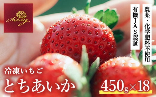 冷凍いちご 450g×18