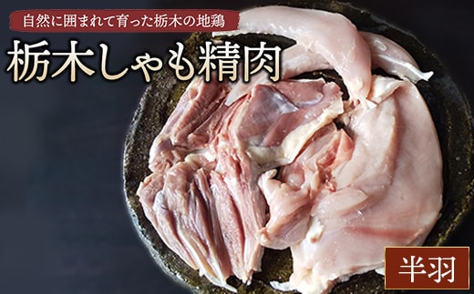 栃木しゃも精肉 半羽 ※離島への配送不可