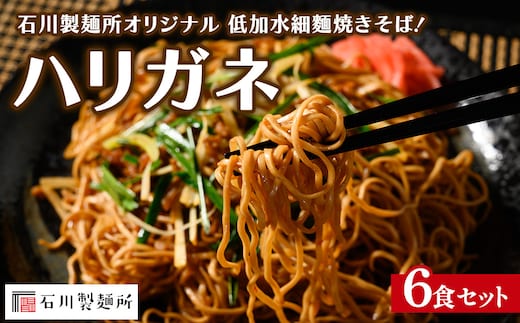 ハリガネ 6食セット