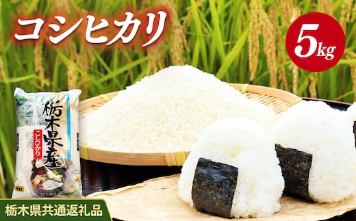 米 コシヒカリ 5kg 栃木県産【栃木県共通返礼品】