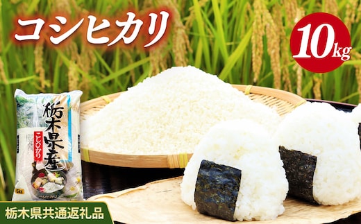 米 コシヒカリ 10kg(5kg×2) 栃木県産【栃木県共通返礼品】