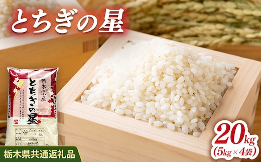 米 とちぎの星 20kg(5kg×2) 栃木県産【栃木県共通返礼品】