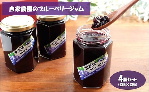 自家農園のブルーベリージャム4瓶セット（2瓶×2箱）加工品 フルーツジャム 太陽 めぐみ 風味 香り 摘み取り グラニュー糖 レモン汁 自然 果実 美味しい