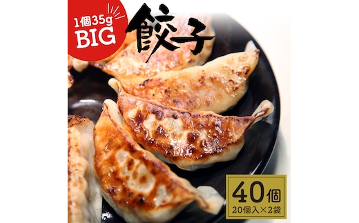 たじまや オリジナル ビッグ 餃子 大きい 40個 真岡市 栃木県 送料無料