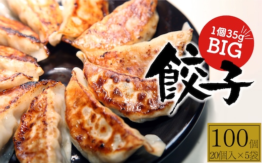 【ふるさと納税】 たじまや オリジナル ビッグ 餃子 大きい 100個 真岡市 栃木県 送料無料