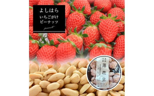 【よしはら】いちごがけピーナッツ（3袋） 真岡市 栃木県 送料無料