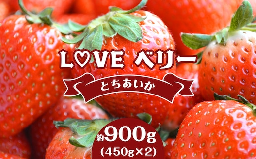 【先行予約】LOVE ベリー（とちあいか 900g）