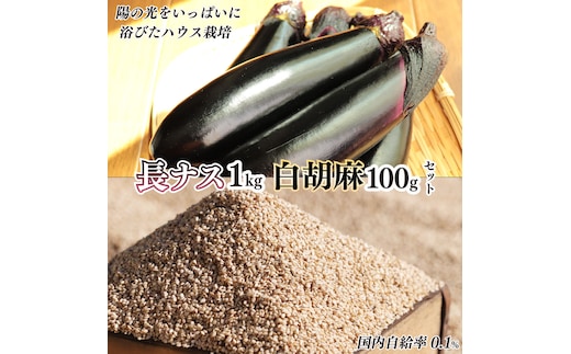 トロ～リ長ナスと国産白ゴマセット 真岡市 栃木県 送料無料