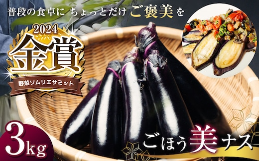 野菜ソムリエサミット金賞「ごほう美ナス」約3kg