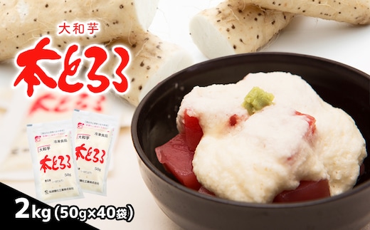 本とろろ大和芋 (冷凍) 2kg 真岡市 栃木県