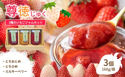 尊徳じゅく ( とちおとめ ・ とちひめ ・ ミルキーベリー ) 3種のいちごジャムセット 真岡市 栃木県