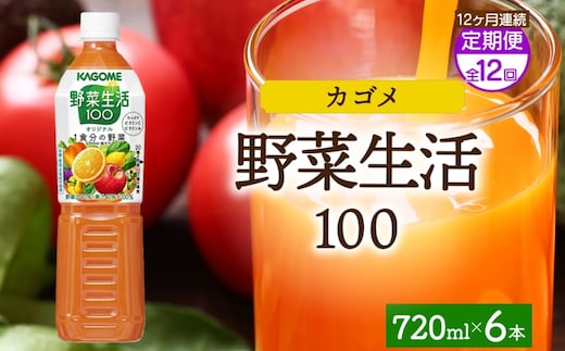 【定期便】12ヵ月連続野菜生活100 オリジナル 720mlPET ns038-065