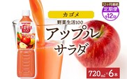 【定期便】12ヵ月連続野菜生活100 アップルサラダ 720mlPET ns038-073