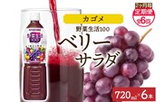 【定期便】2ヵ月毎全6回野菜生活100 ベリーサラダ 720mlPET ns038-076 