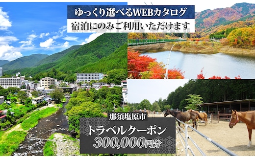 那須塩原市 後から選べる旅行Webカタログで使える！ 旅行クーポン（300,000円分）旅行券 宿泊券 ns124-004