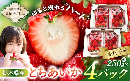 【先行受付】栃木県産 とちあいか約250ｇ×4パック【栃木県共通返礼品】【2027年1月下旬～発送予定】 ns120-001