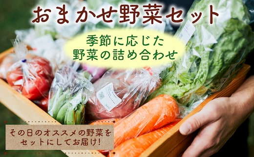 おまかせ野菜セット ns087-002