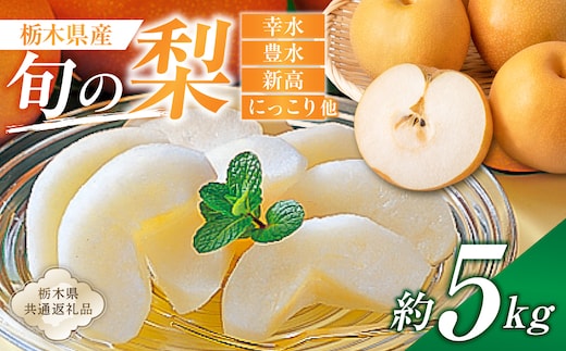 栃木県産 旬の梨 約5kg【栃木県共通返礼品】 ns110-002-2