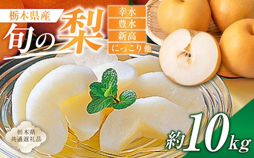 栃木県産 旬の梨 約10kg【栃木県共通返礼品】 ns110-002-3