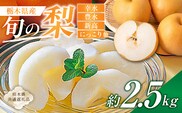 栃木県産　旬の梨　約2.5kg【栃木県共通返礼品】　ns110-002-1
