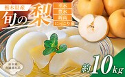 栃木県産　旬の梨　約10kg【栃木県共通返礼品】　ns110-002-3
