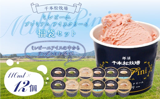 福袋セット（ミレピーニアイス12個セット）【千本松牧場】 ns025-014-12