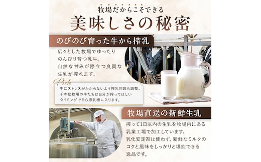 生乳の味を極めた特撰アイス17個セット 【千本松牧場】 ns025-011-17