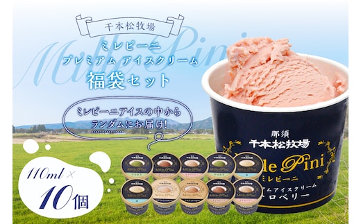 福袋セット（ミレピーニアイス10個セット）【千本松牧場】 ns025-014-10