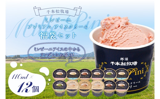 福袋セット（ミレピーニアイス12個セット）【千本松牧場】 ns025-014-12
