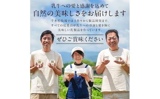 生乳の味を極めた特撰アイス17個セット 【千本松牧場】 ns025-011-17