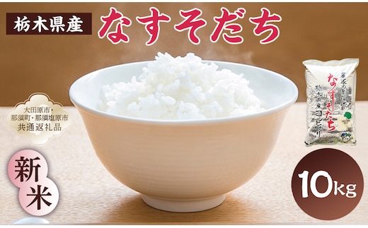 【大田原市・那須塩原市・那須町共通返礼品】＜米＞令和7年産 栃木県産 コシヒカリ なすそだち 10ｋｇ ＪＡなすの産地直送 ns005-002-10