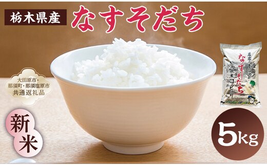 【大田原市・那須塩原市・那須町共通返礼品】＜米＞令和7年産 栃木県産 コシヒカリ なすそだち 5ｋｇ ＪＡなすの産地直送 ns005-002-5