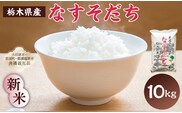 【大田原市・那須塩原市・那須町共通返礼品】＜米＞令和7年産 栃木県産 コシヒカリ なすそだち 10ｋｇ ＪＡなすの産地直送 ns005-002-10