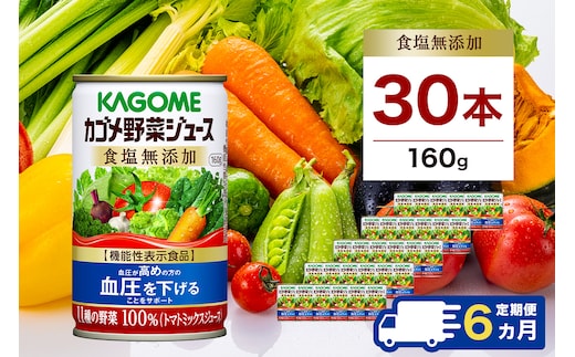 【定期便6ヵ月】カゴメ 野菜ジュース 食塩無添加 160g缶×30本 1ケース 毎月届く 6ヵ月 6回コース【 栃木県 那須塩原市 】 ns001-021