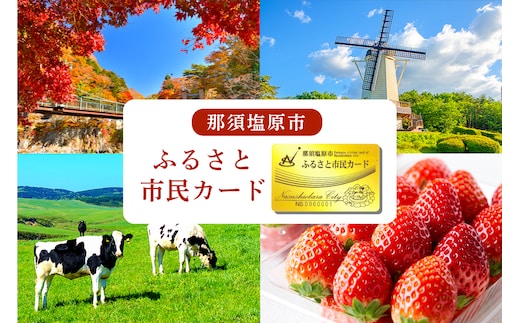 那須塩原市 ふるさと市民カード【 体験 チケット 栃木県 那須塩原市 】 ns056-001