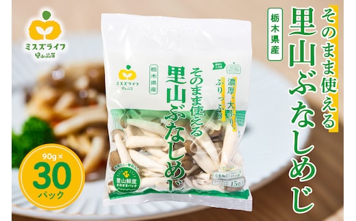 そのまま使える里山ぶなしめじ（栃木県那須工場産） ns086-001