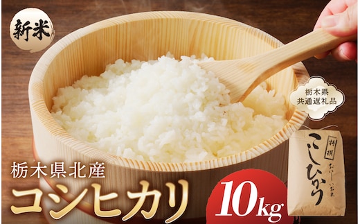 【令和7年度産】栃木県北産コシヒカリ 10kg入【栃木県共通返礼品】 ns091-001