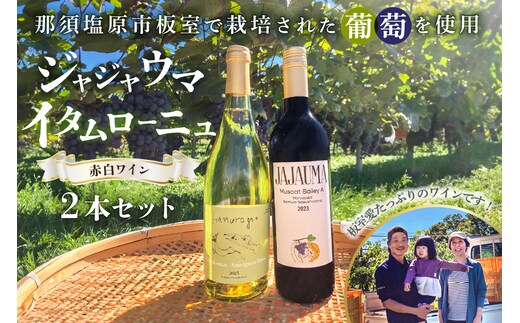 ジャジャウマ・イタムローニュ 赤白ワイン2本セット ns107-001