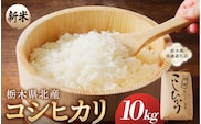 【令和7年度産】栃木県北産コシヒカリ 10kg入【栃木県共通返礼品】 ns091-001