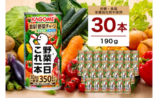 カゴメ 野菜一日これ一本 190g 30本 ns111-014-30