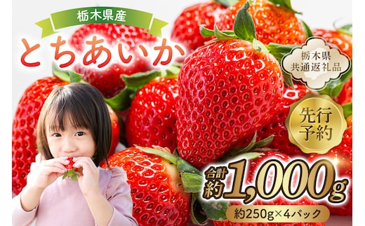 【先行予約】 栃木県産 とちあいか約250ｇ×4パック 【栃木県共通返礼品】 ns120-001