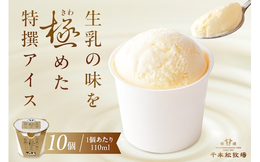 生乳の味を極めた特撰アイス10個セット 【千本松牧場】 ns025-011-10