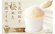 生乳の味を極めた特撰アイス10個セット 【千本松牧場】 ns025-011-10