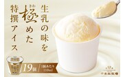 生乳の味を極めた特撰アイス19個セット 【千本松牧場】 ns025-011-19